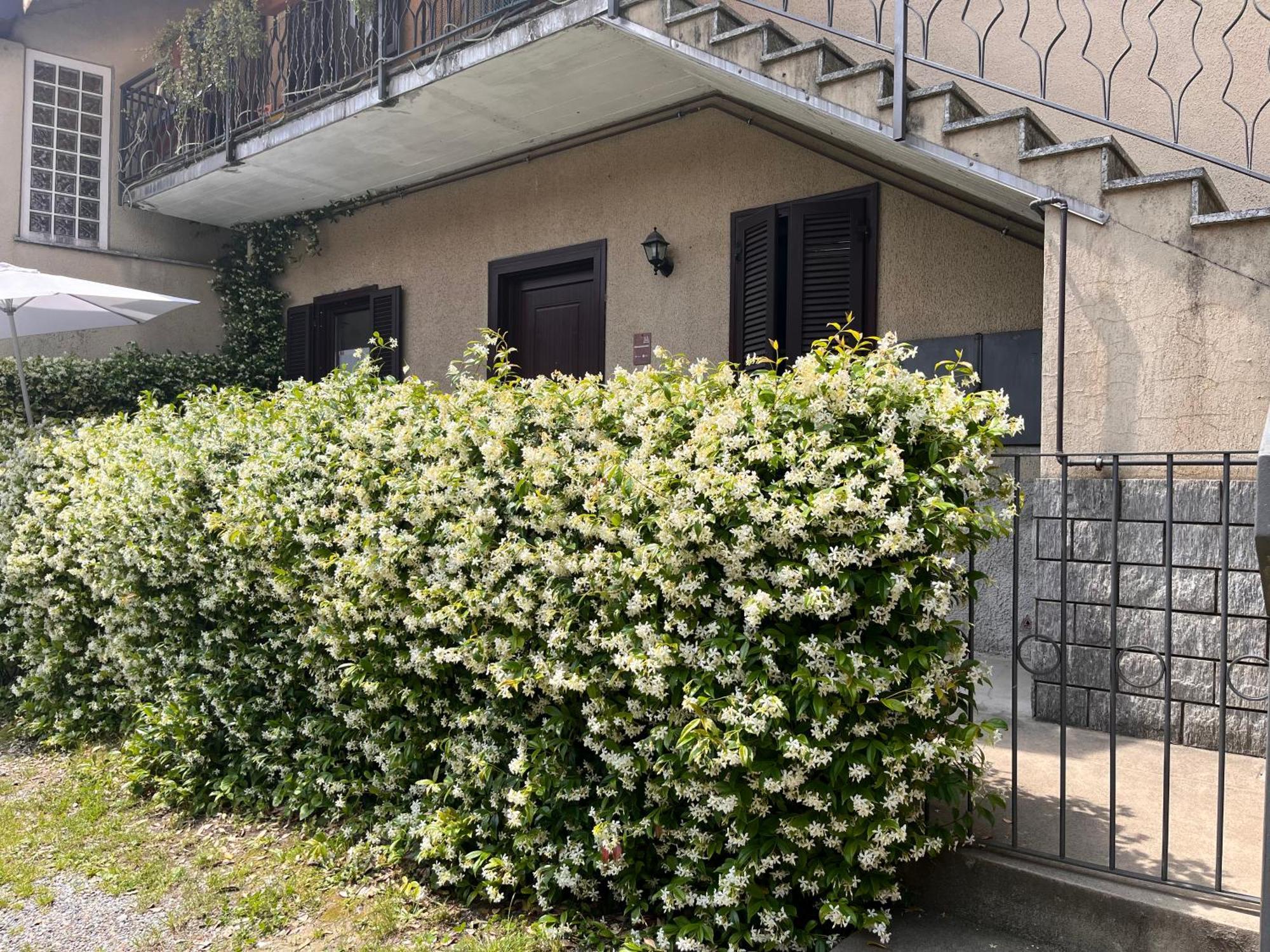 Il Cortile Como Single & Double Room In Apartment No Hotel 外观 照片